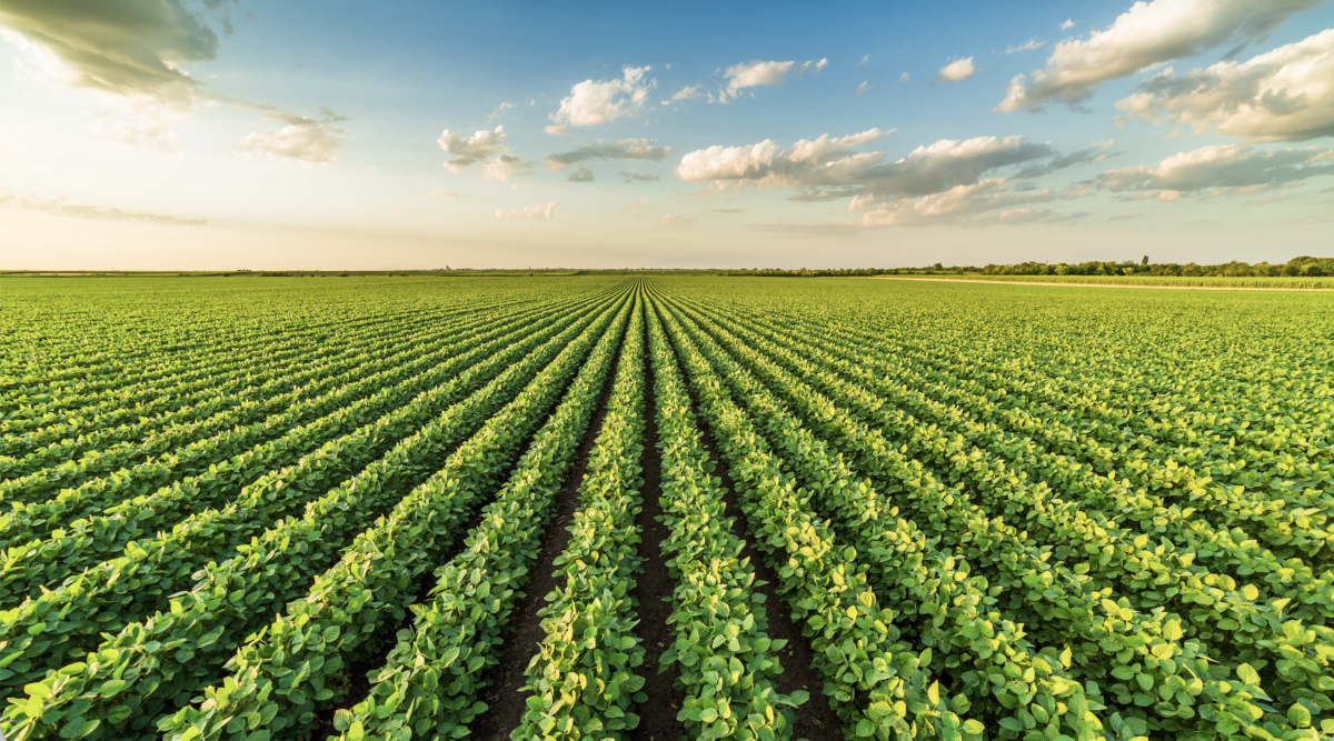 Agri Food Summit